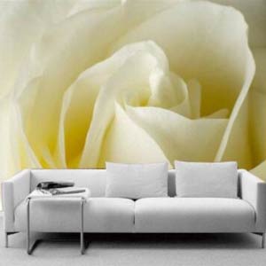 沙发无纺布